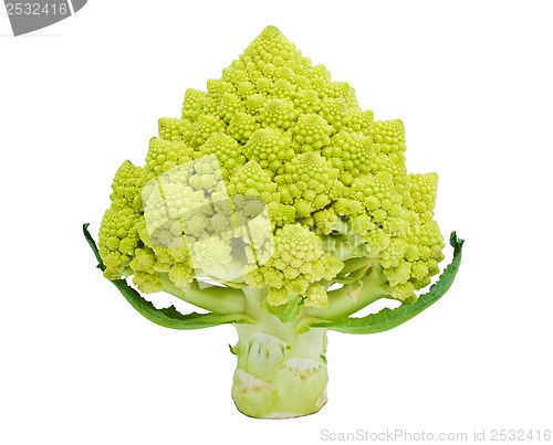 Image of Romanesco broccoli