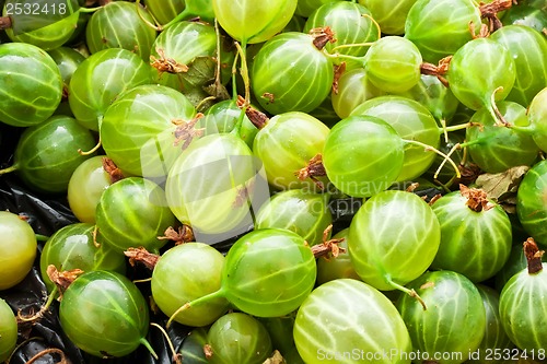 Image of Gooseberries