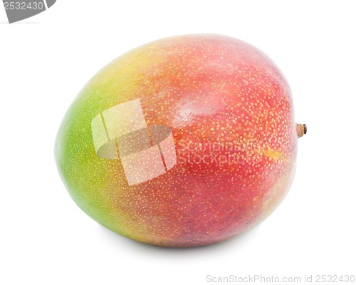 Image of Mango