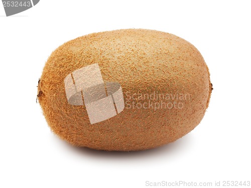 Image of Kiwi