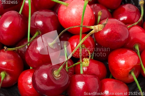 Image of Red cherry