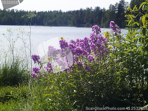 Image of Spring