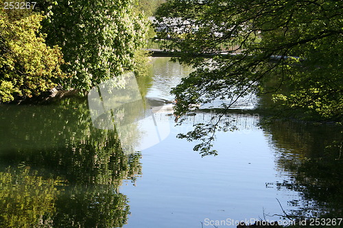 Image of Reflexion in pond