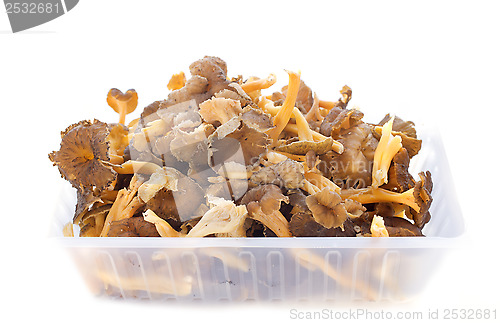 Image of chanterelles