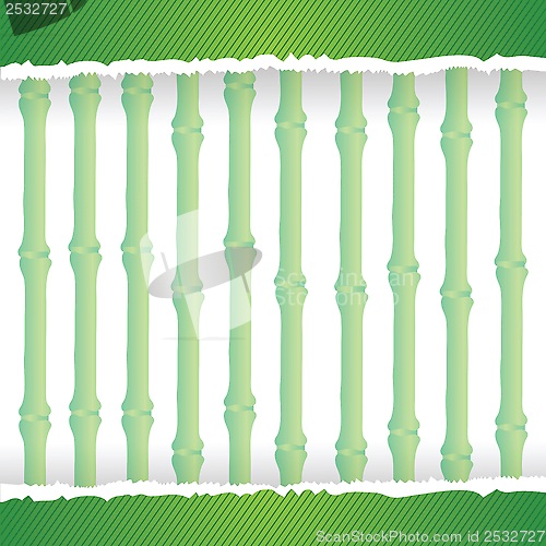 Image of bamboo frame