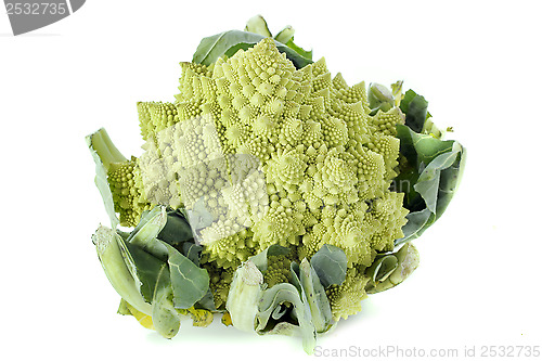 Image of Romanesco broccoli