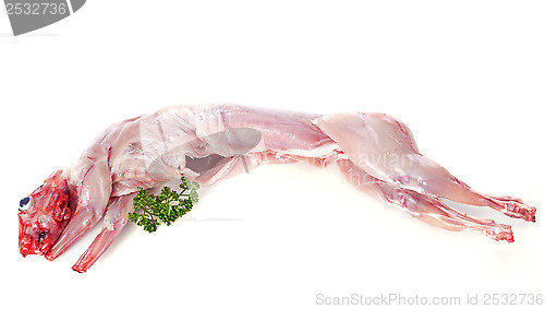 Image of rabbit meat