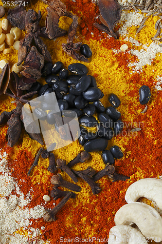 Image of Anise and cloves vertical