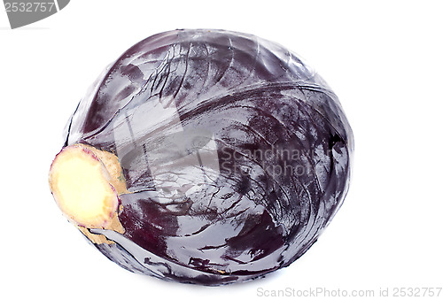 Image of Red cabbage