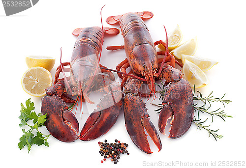 Image of lobsters