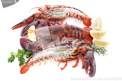 Image of lobsters