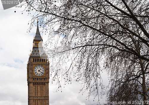 Image of Big Ben with tree in London