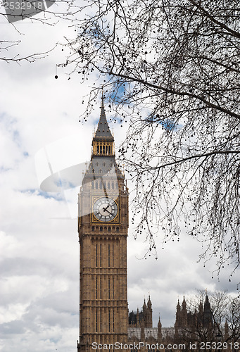 Image of Big Ben with tree in London