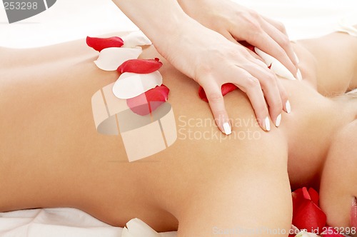 Image of massage hands and rose petals