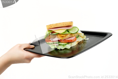 Image of Homemade Turkey Sandwich with Lettuce