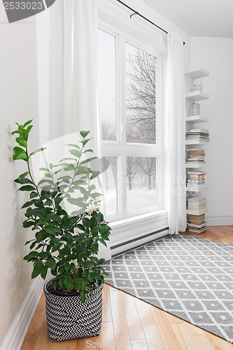 Image of Lemon tree in a room with peaceful view
