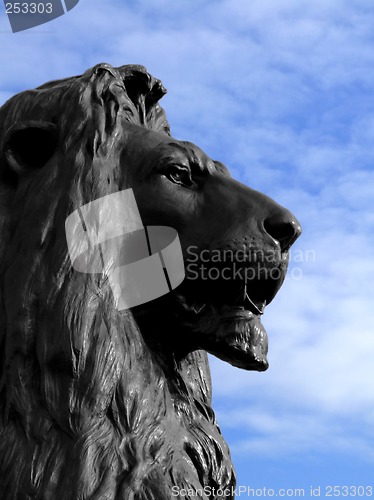 Image of Lion head