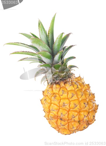 Image of ripe ananas fruit with green leaves