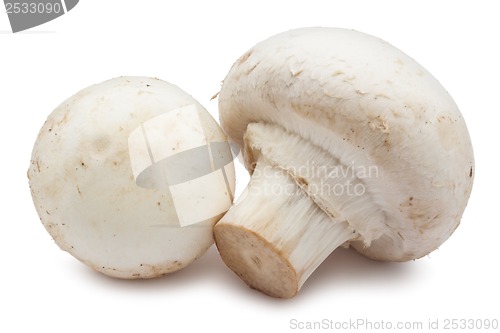 Image of Champignon mushrooms