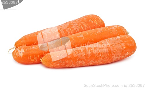 Image of Carrot