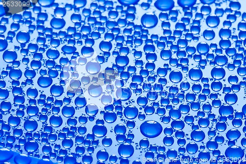 Image of Water drops