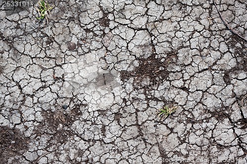 Image of Dry land