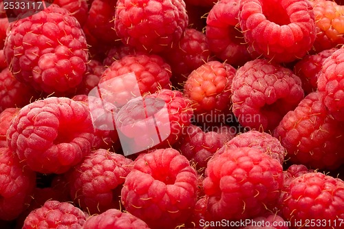 Image of Raspberries