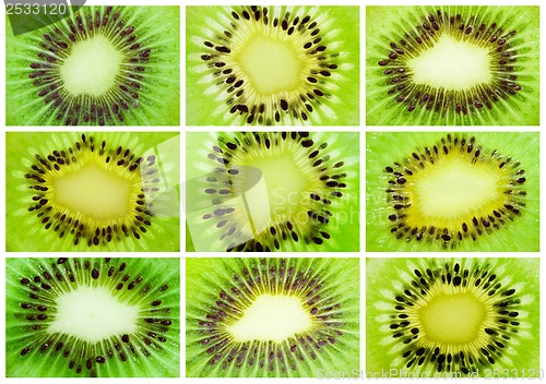 Image of Kiwi