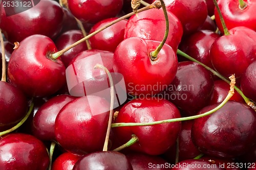 Image of Red cherry