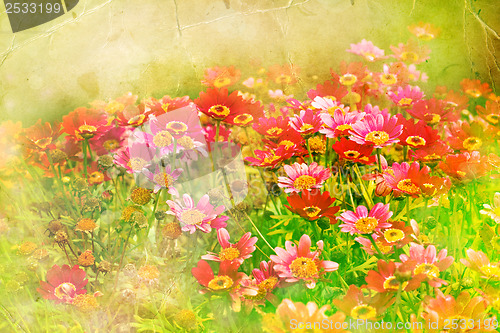 Image of Flower backgrond , spring bloom