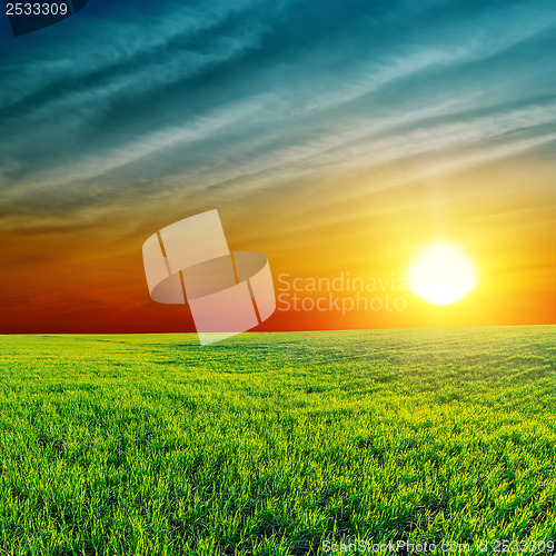 Image of orange sunset over green field