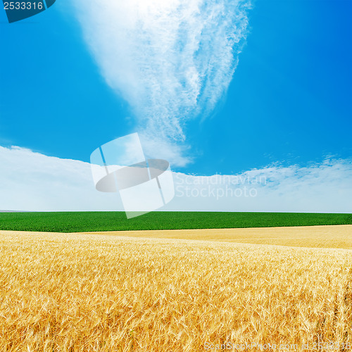 Image of cloudy sky over golden and green fields