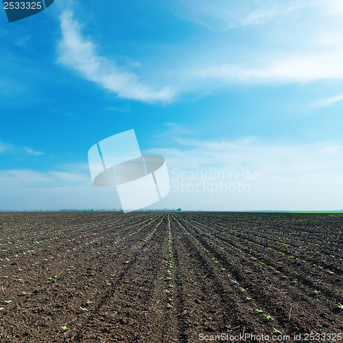 Image of black plowed field and cloudy sky