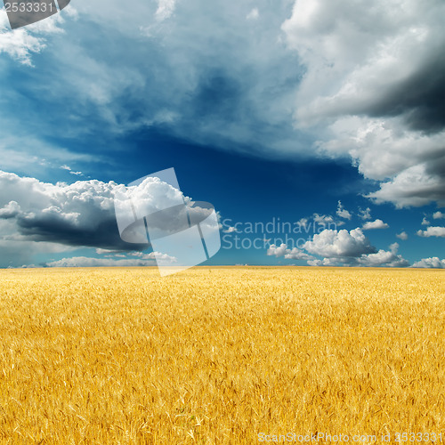 Image of dramatic sky over field with golden harvest