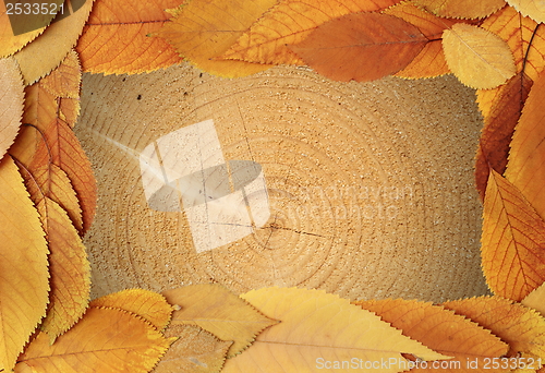 Image of tree texture with golden leaves frame