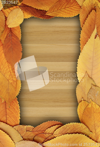 Image of natural backdrop with golden foliage on table