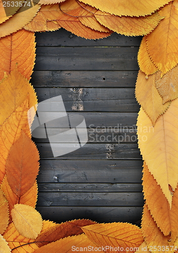 Image of golden leaves frame on burned planks