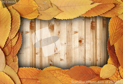 Image of spruce boards table with cherry faded leaves