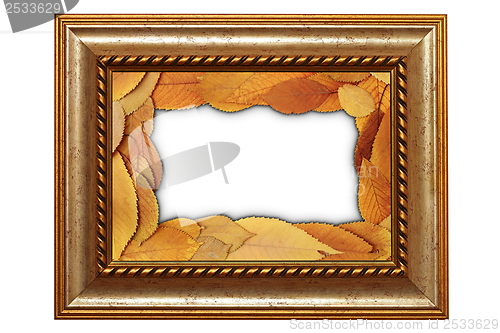 Image of isolated old frame with leaves