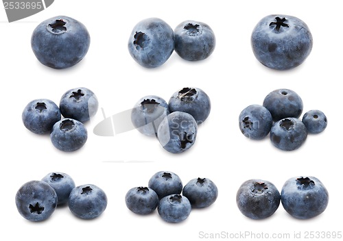 Image of Blueberry set