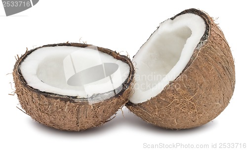 Image of Coconut