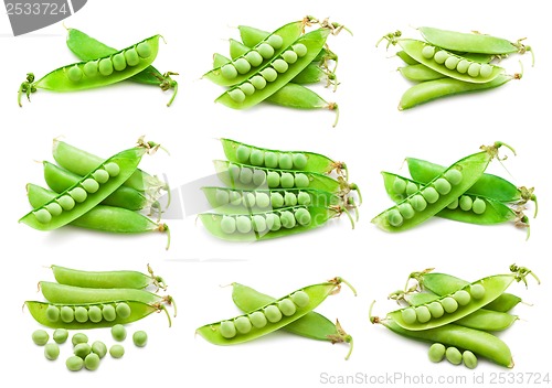 Image of Pea