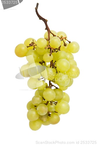 Image of Grapes