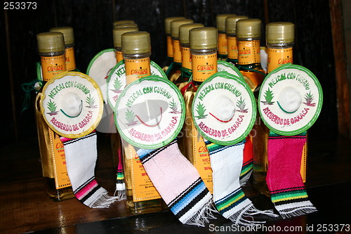 Image of Bottels of Mexican Mezcal