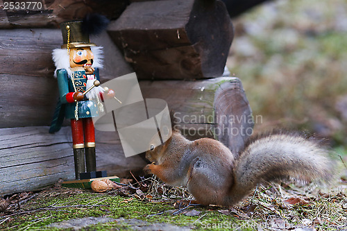 Image of Nutcracker and Squirrel