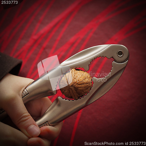 Image of Cracking the Nut 