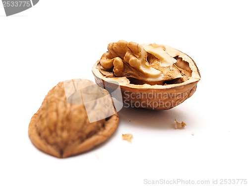 Image of Walnut