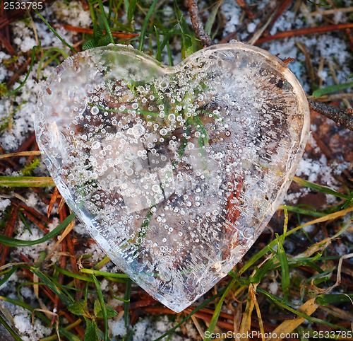 Image of Heart of Ice 
