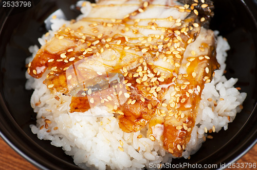 Image of eel with rice