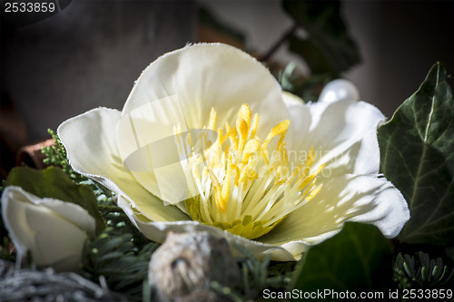 Image of Detail shot of advent wreath